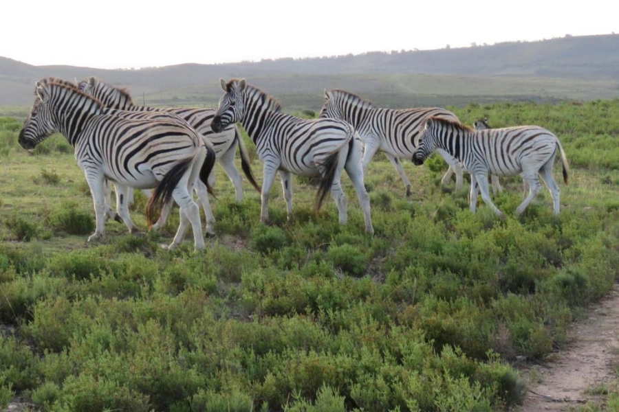  Bedroom Property for Sale in Mossel Bay Rural Western Cape